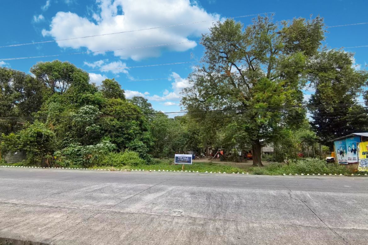 Land for Sale in Camantiles, Urdaneta, Pangasinan – photo 6