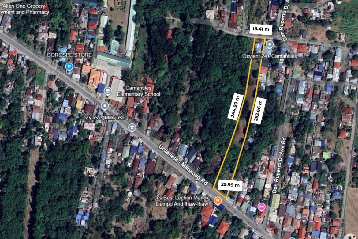 Land for Sale in Camantiles, Urdaneta, Pangasinan – photo 7
