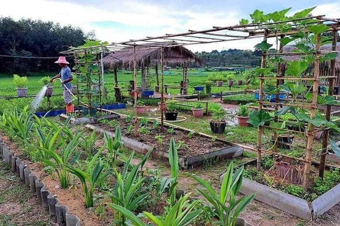 Land for Sale in Camaysa, Tayabas, Quezon – photo 5