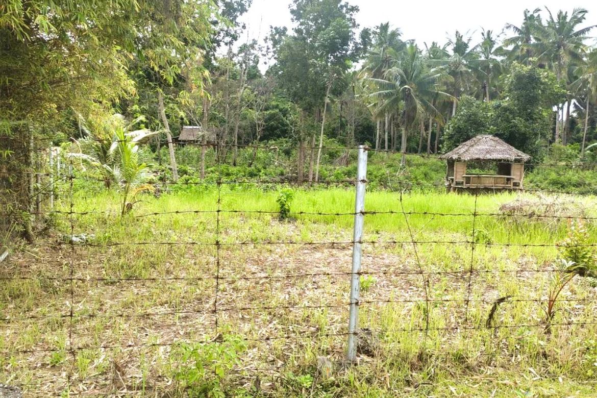 Land for Sale in Cambanac, Baclayon, Bohol