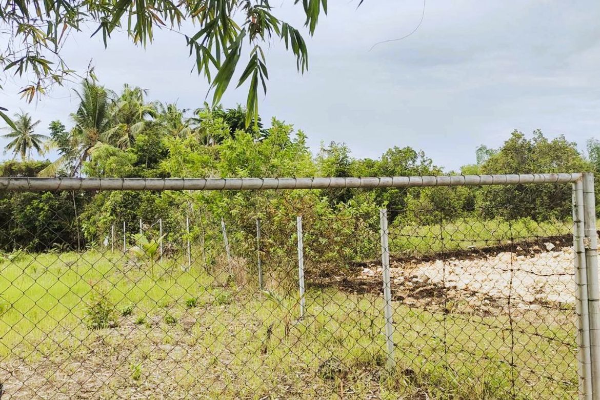 Land for Sale in Cambanac, Baclayon, Bohol – photo 5