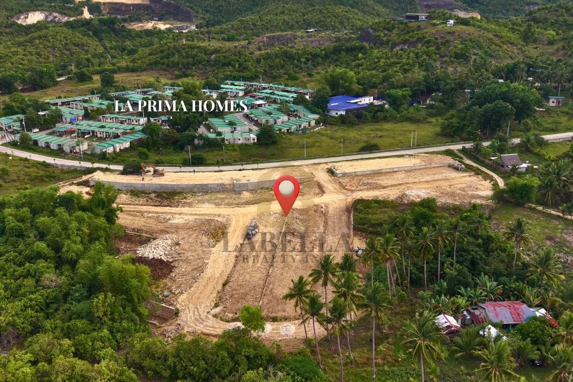 Land for Sale in Cambanac, Baclayon, Bohol – photo 2