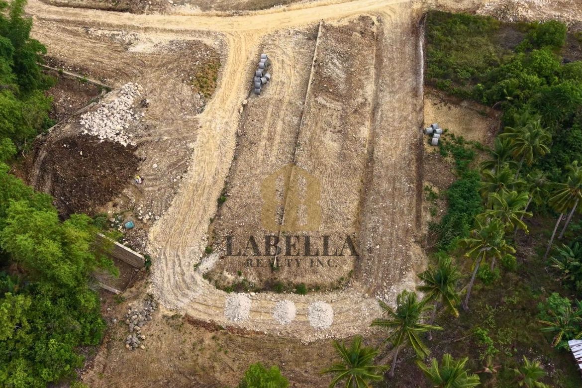 Land for Sale in Cambanac, Baclayon, Bohol – photo 6