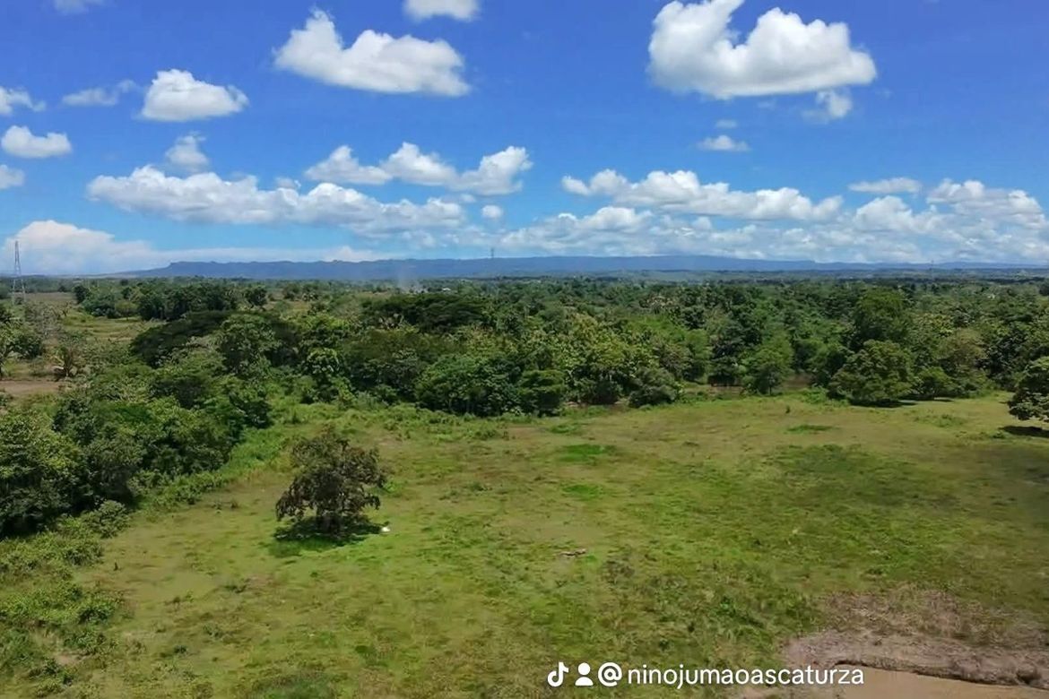 Land for Sale in Cambangay Norte, San Miguel, Bohol – photo 2