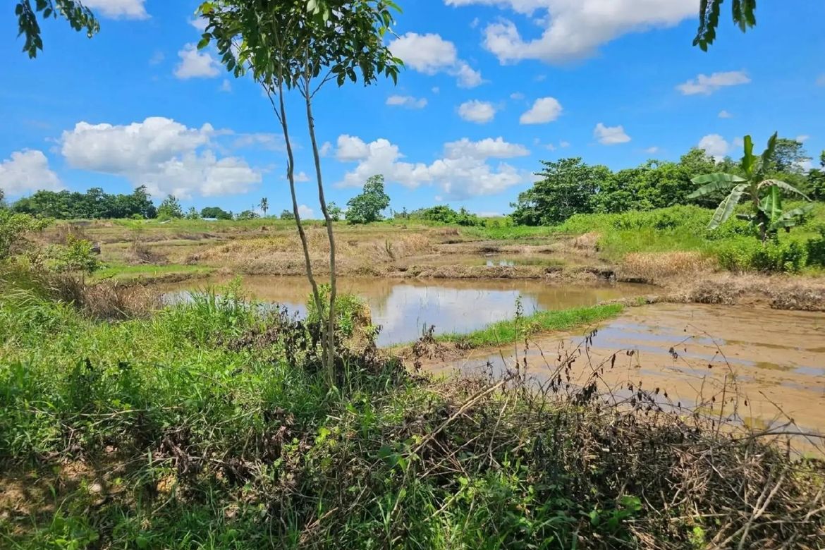 Land for Sale in Cambangay Norte, San Miguel, Bohol – photo 3