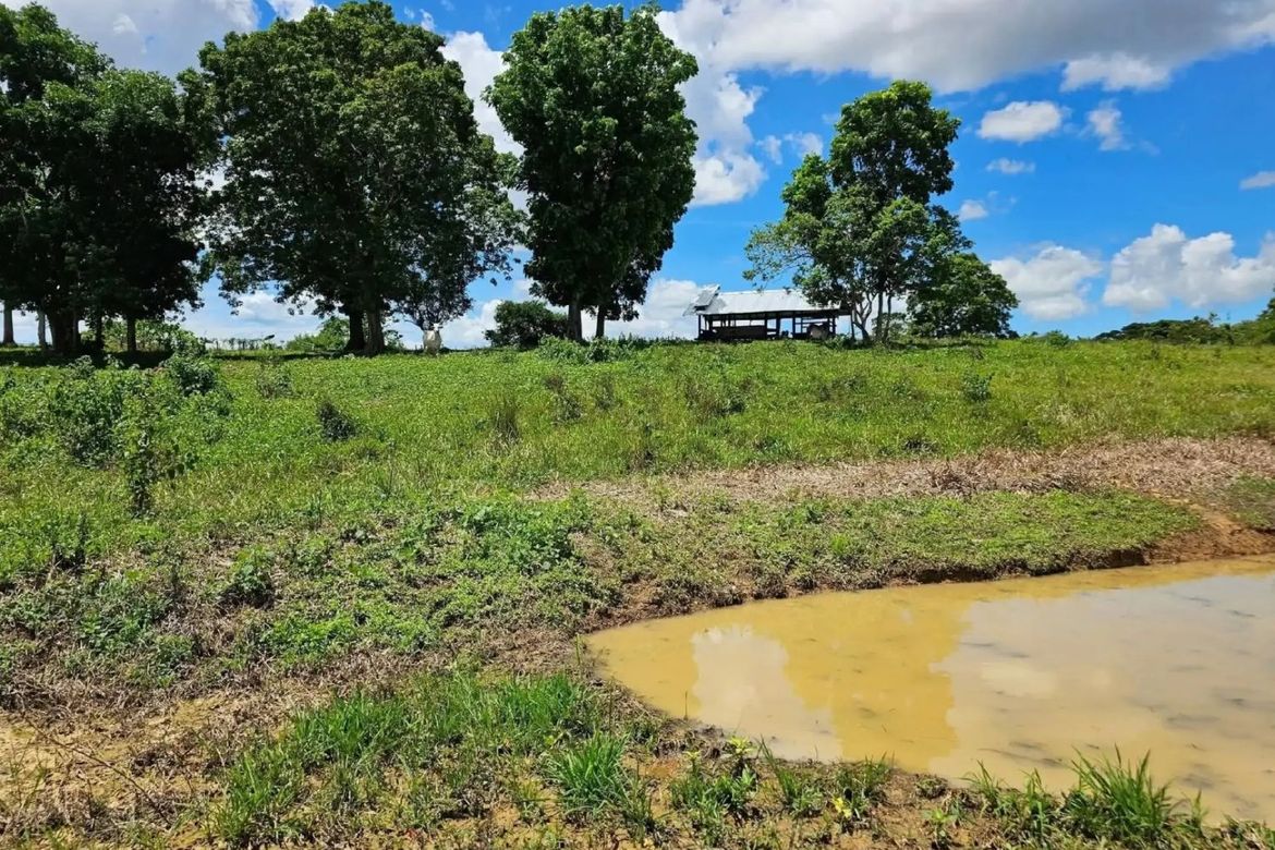Land for Sale in Cambangay Norte, San Miguel, Bohol – photo 5