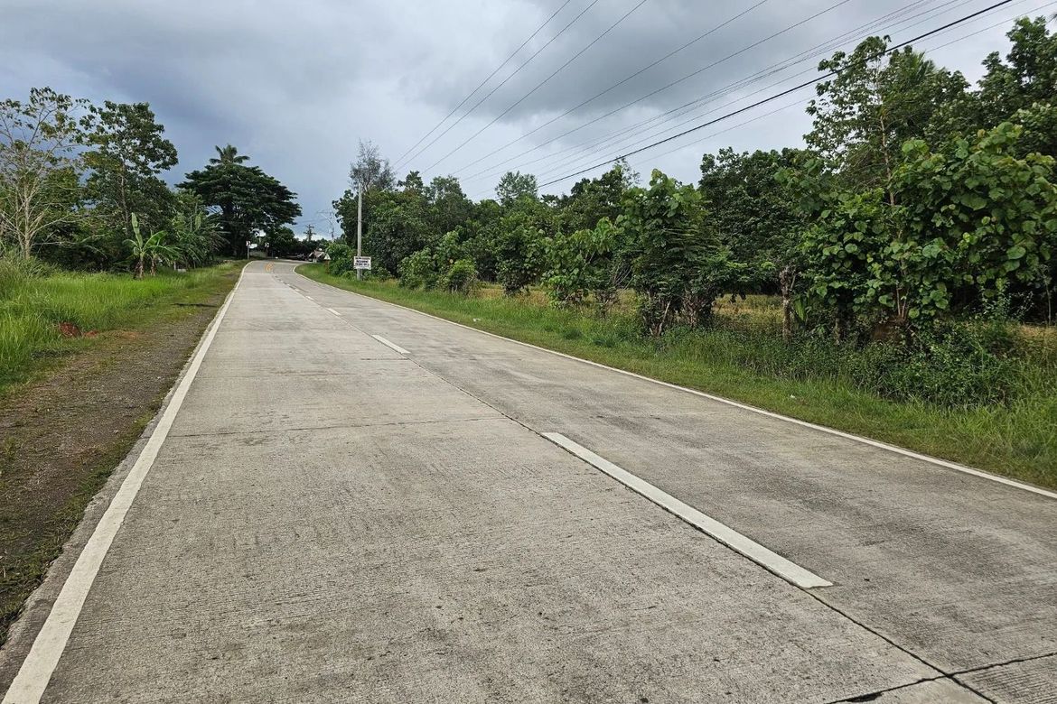 Land for Sale in Cambangay Norte, San Miguel, Bohol – photo 2
