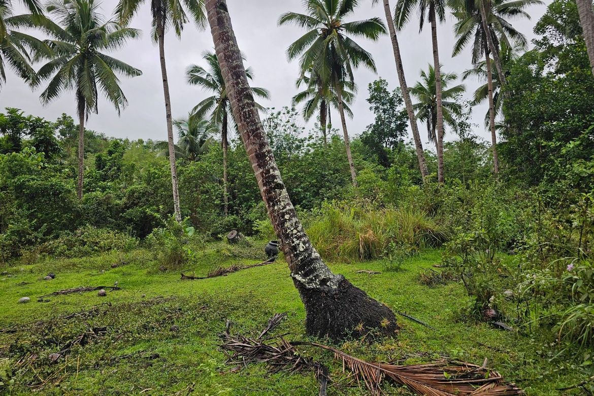 Land for Sale in Cambangay Norte, San Miguel, Bohol – photo 2