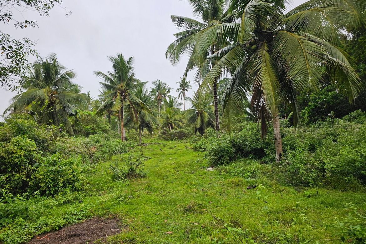 Land for Sale in Cambangay Norte, San Miguel, Bohol – photo 6