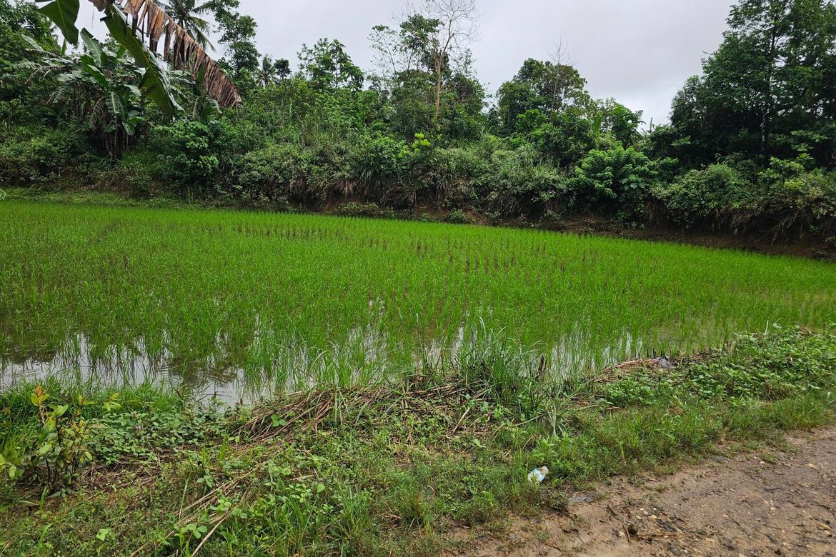 Land for Sale in Cambangay Norte, San Miguel, Bohol – photo 8
