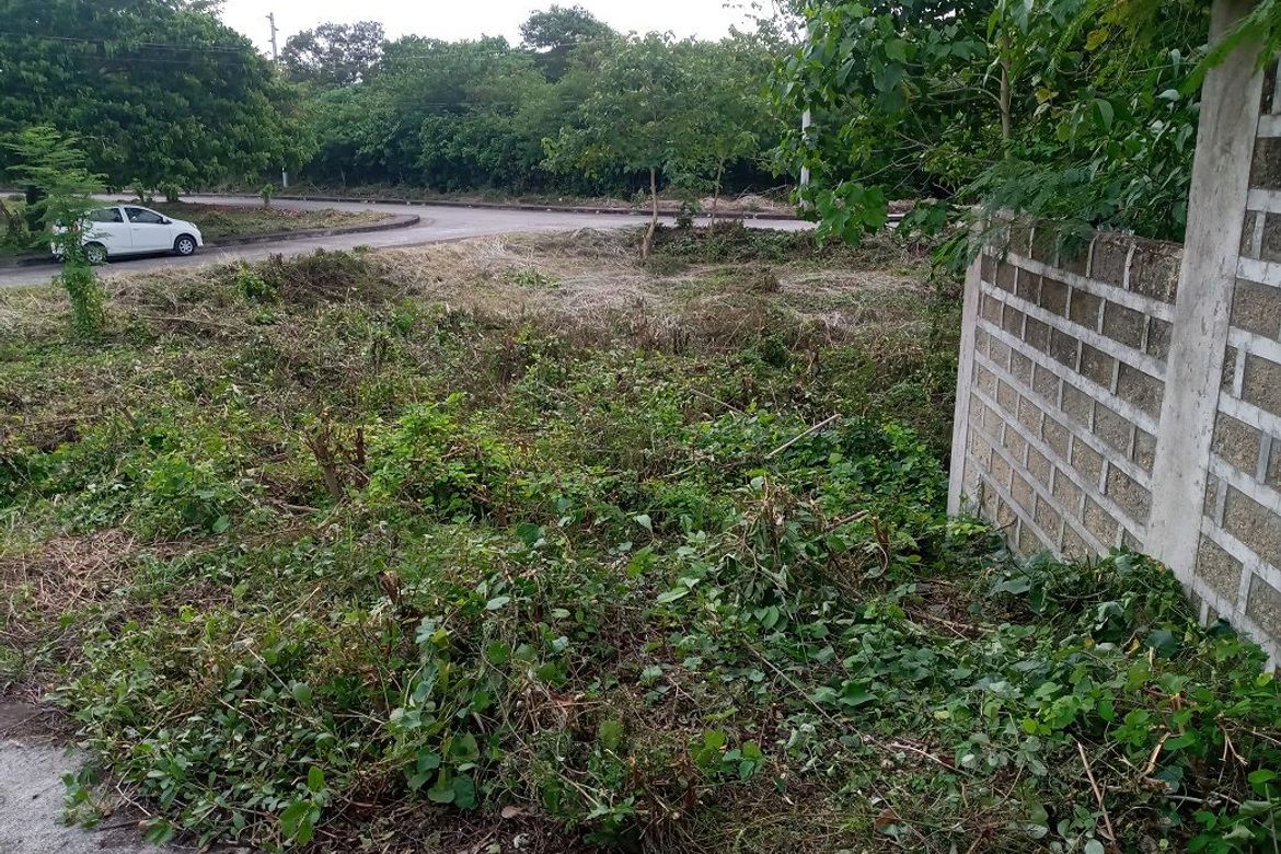 Land for Sale in Cambayog, Compostela, Cebu – photo 4