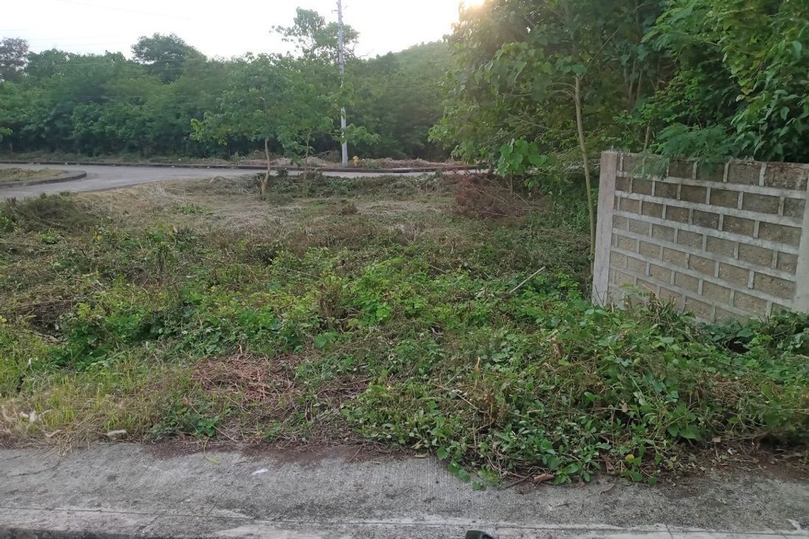Land for Sale in Cambayog, Compostela, Cebu – photo 5