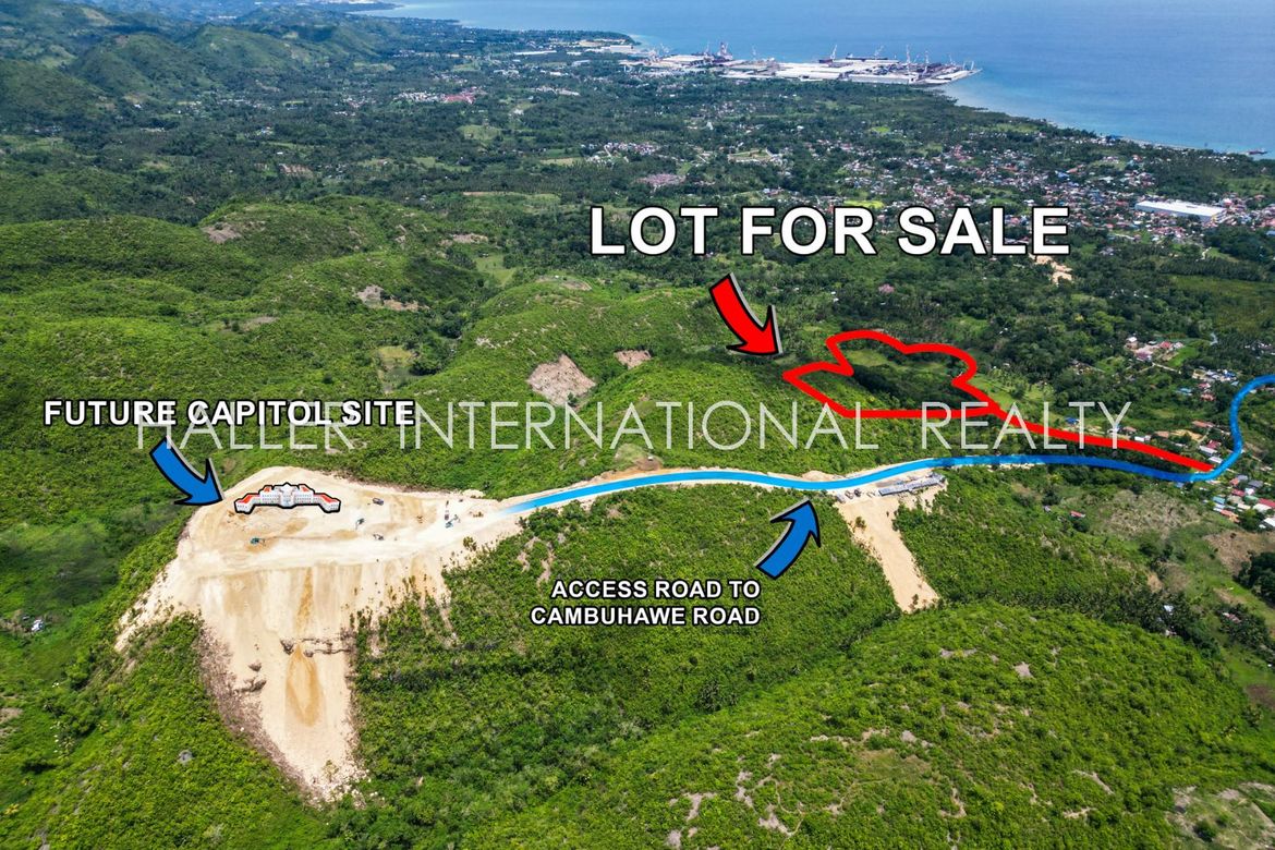 Land for Sale in Cambuhawe, Balamban, Cebu
