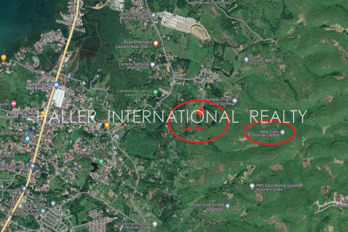 Land for Sale in Cambuhawe, Balamban, Cebu – photo 6
