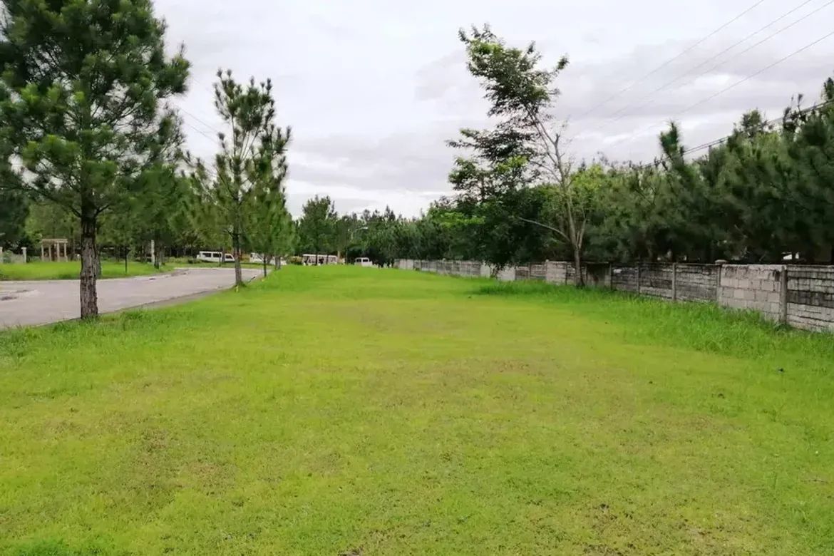 Land for Sale in Camella Bacolod, Mandalagan, Bacolod, Negros Occidental – photo 2