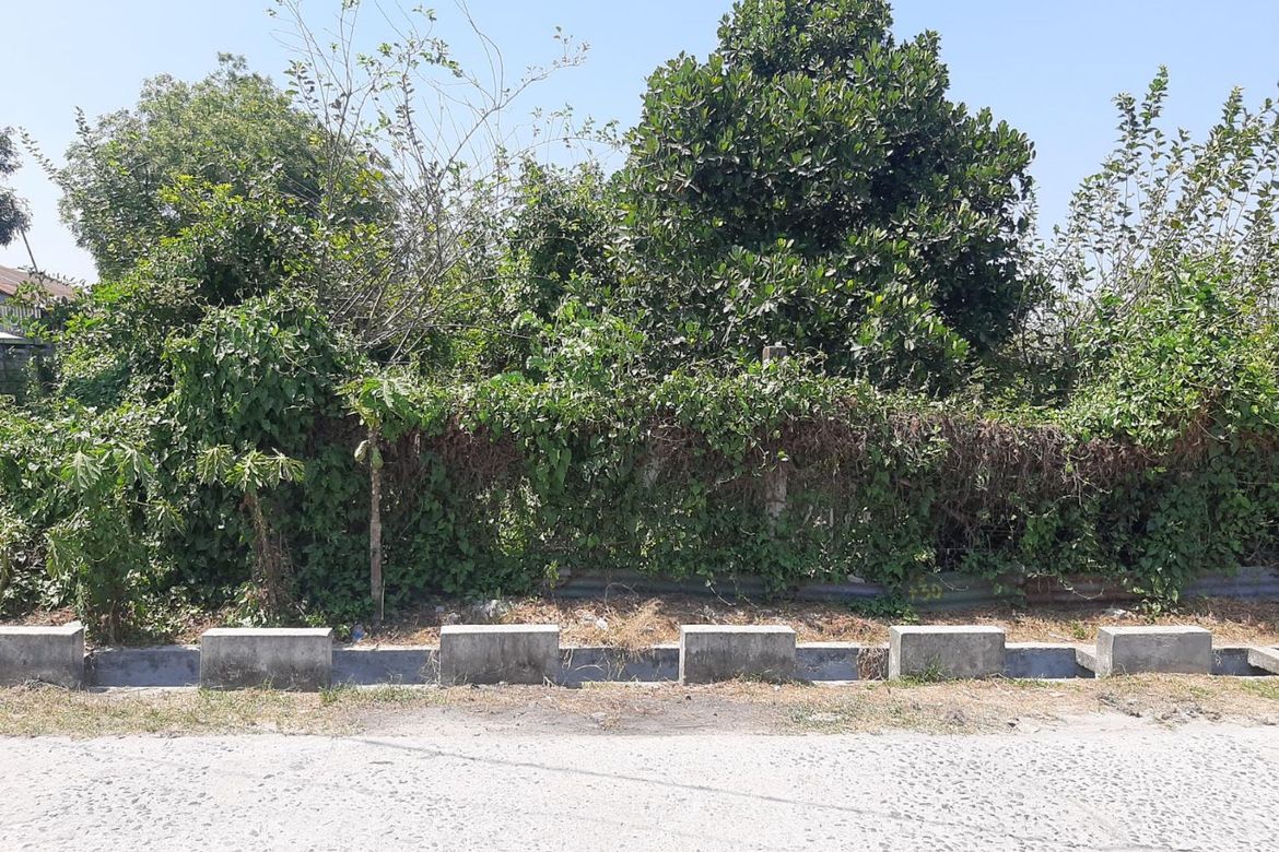 Land for Sale in Camias, Magalang, Pampanga – photo 5