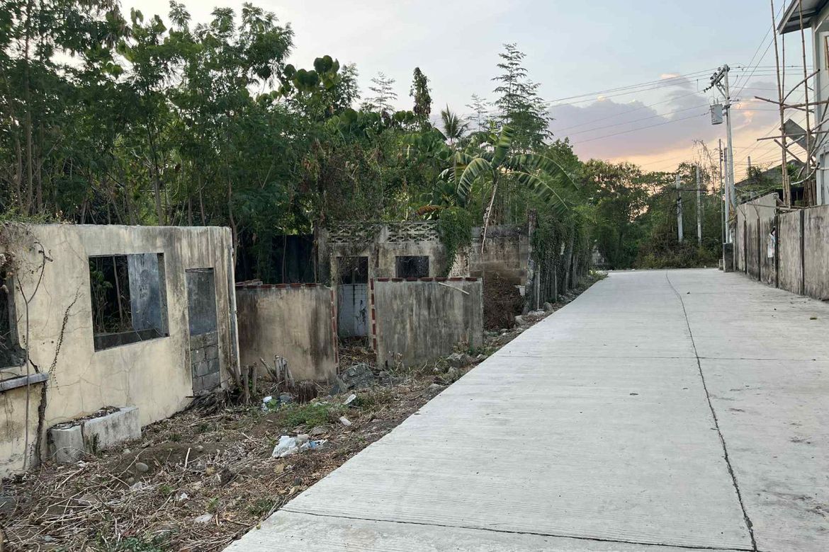 Land for Sale in Camiling, Tarlac – photo 3