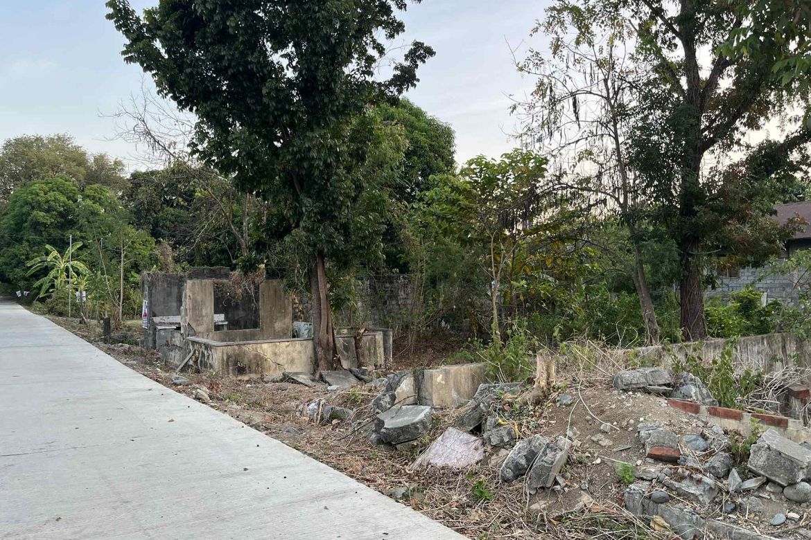 Land for Sale in Camiling, Tarlac – photo 4