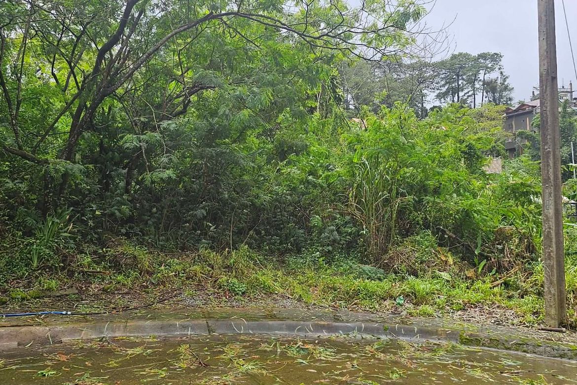 Land for Sale in Camp 7, Baguio, Benguet – photo 5