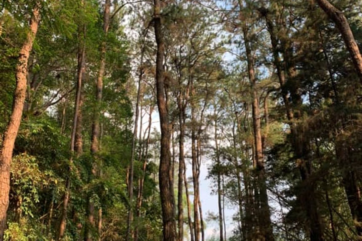 Land for Sale in Camp 7, Baguio, Benguet – photo 4