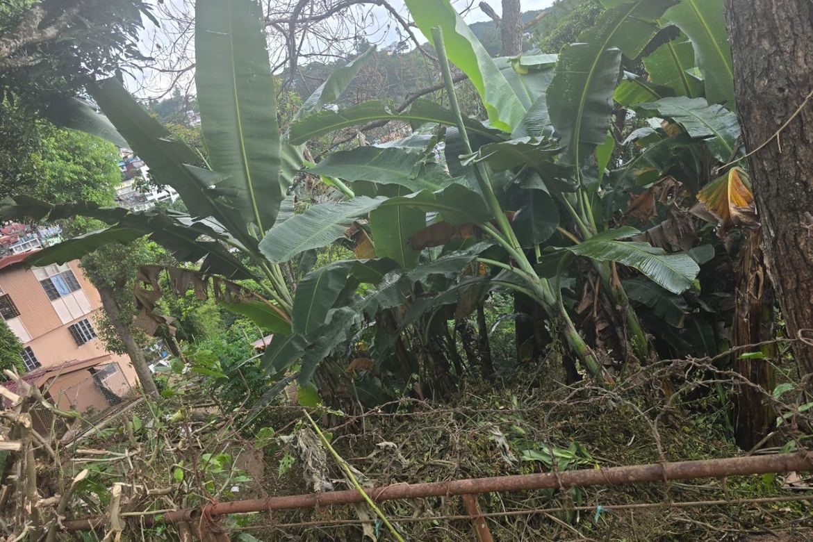 Land for Sale in Camp 7, Baguio, Benguet – photo 8