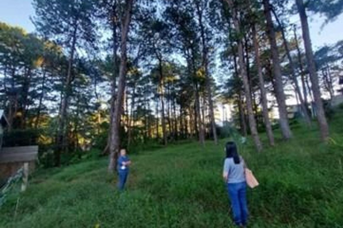 Land for Sale in Camp 7, Baguio, Benguet