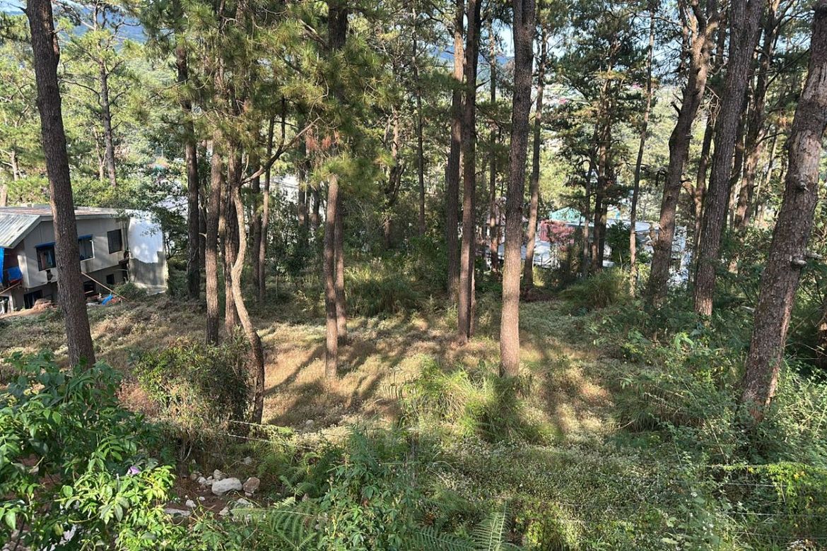 Land for Sale in Camp 7, Baguio, Benguet – photo 5