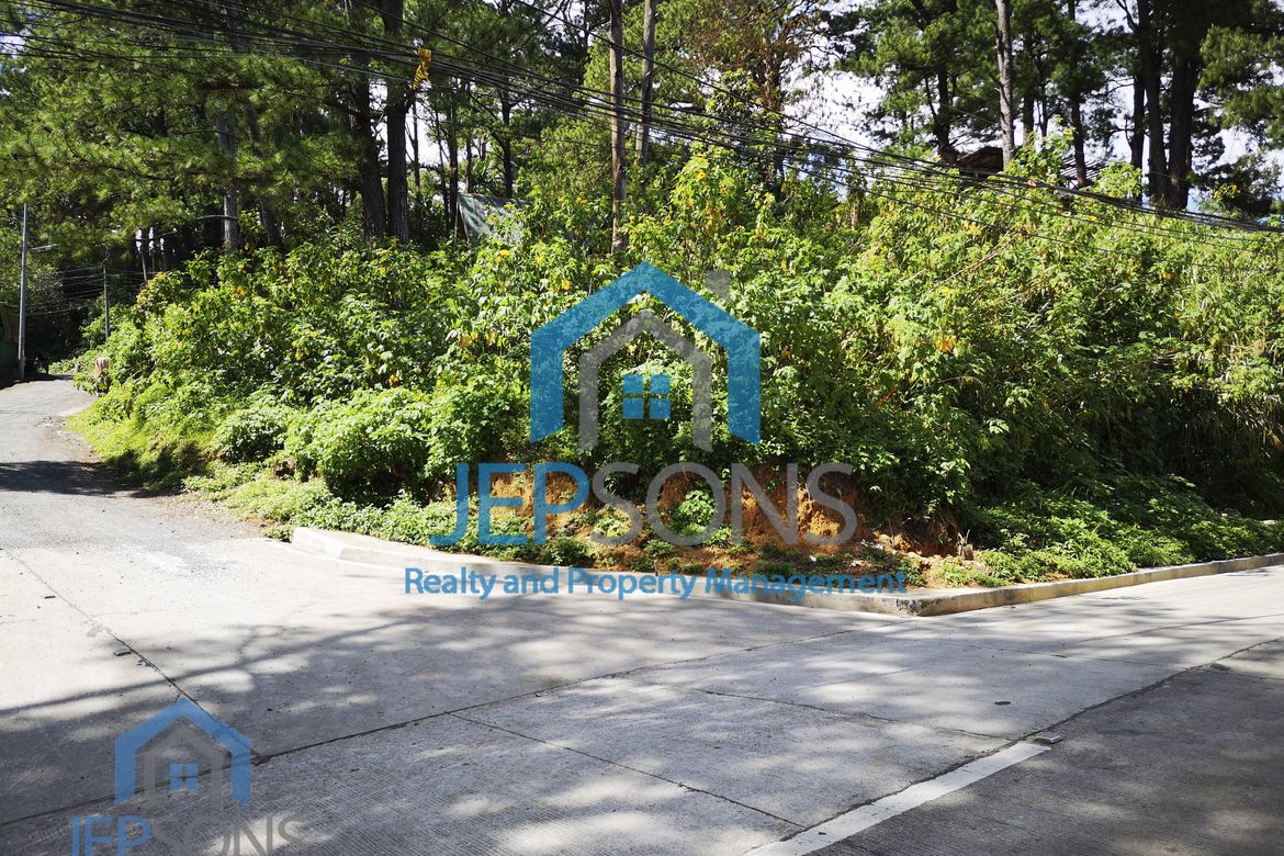 Land for Sale in Camp 7, Baguio, Benguet – photo 2