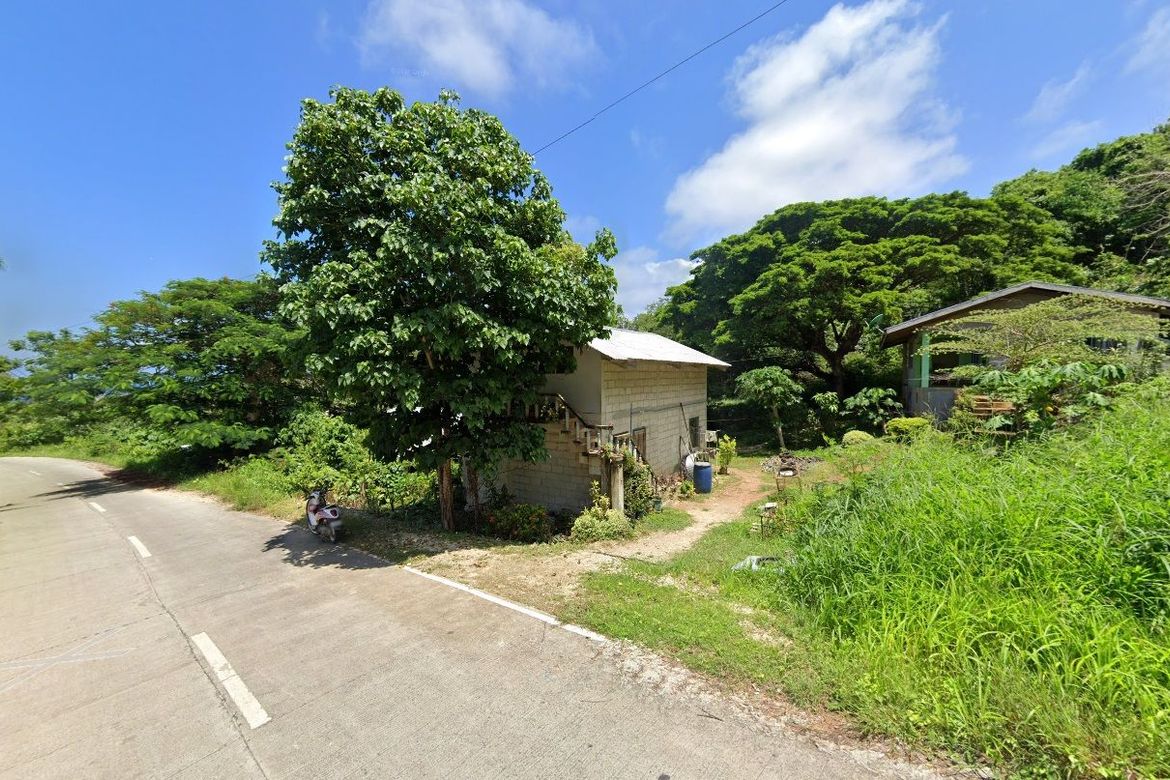 Land for Sale in Campalanas, Lazi, Siquijor – photo 2
