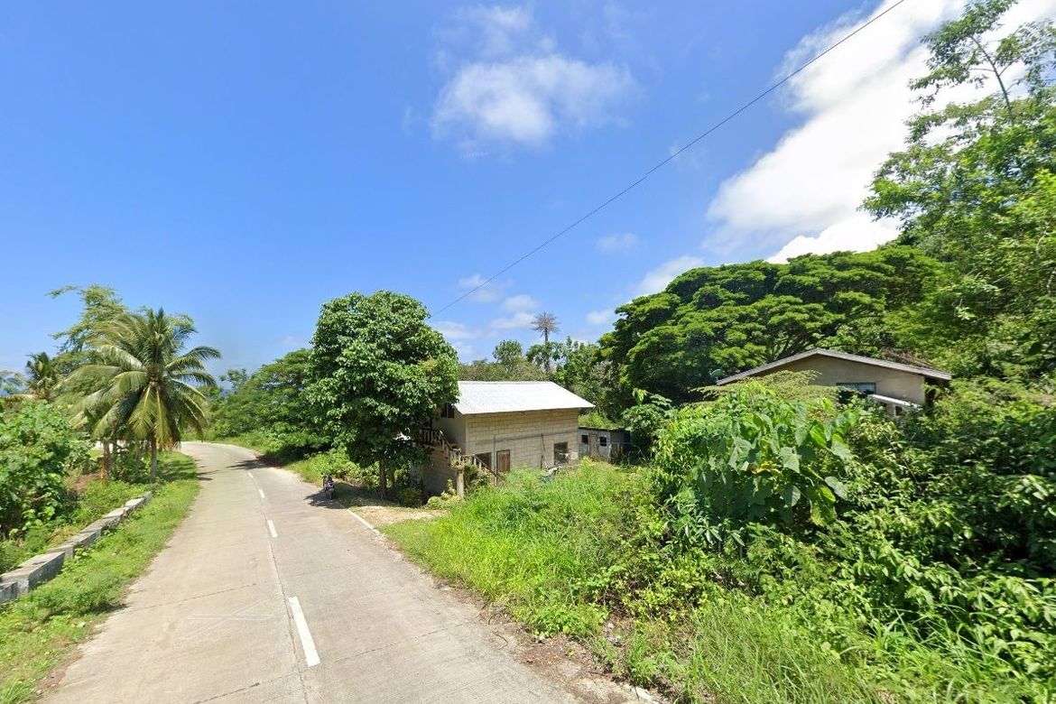 Land for Sale in Campalanas, Lazi, Siquijor – photo 3