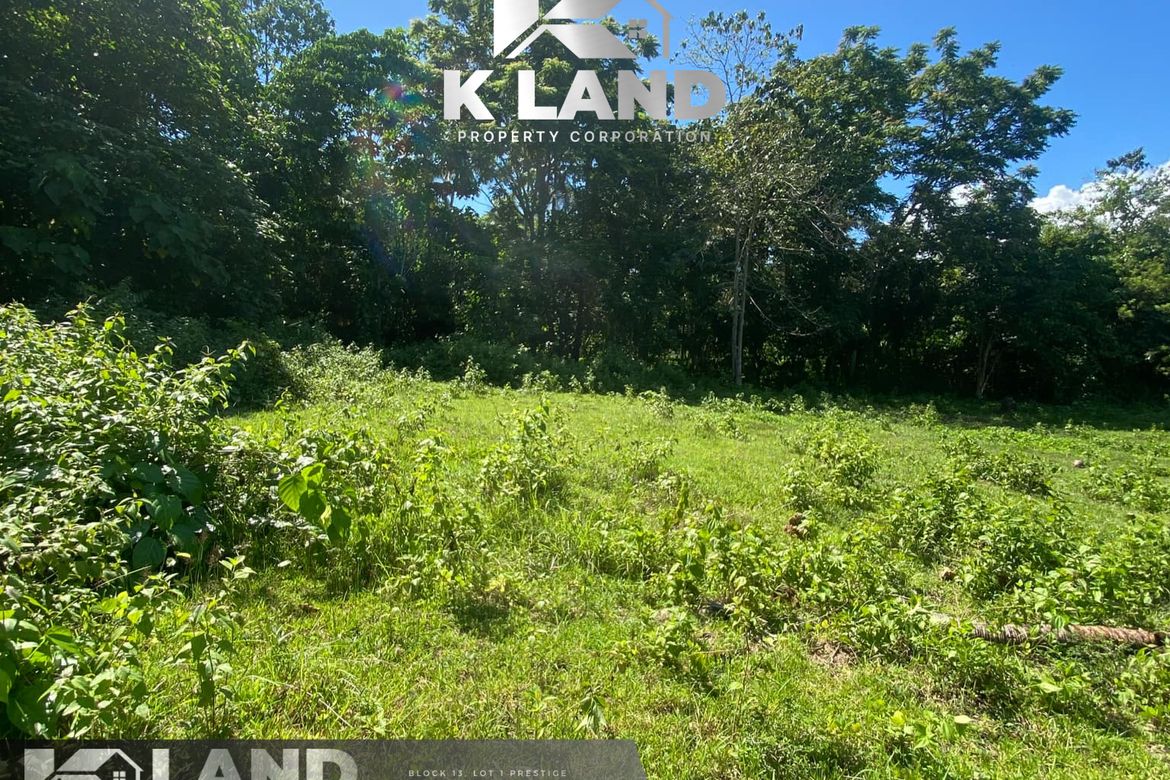 Land for Sale in Camudmud, Samal, Davao del Norte – photo 2