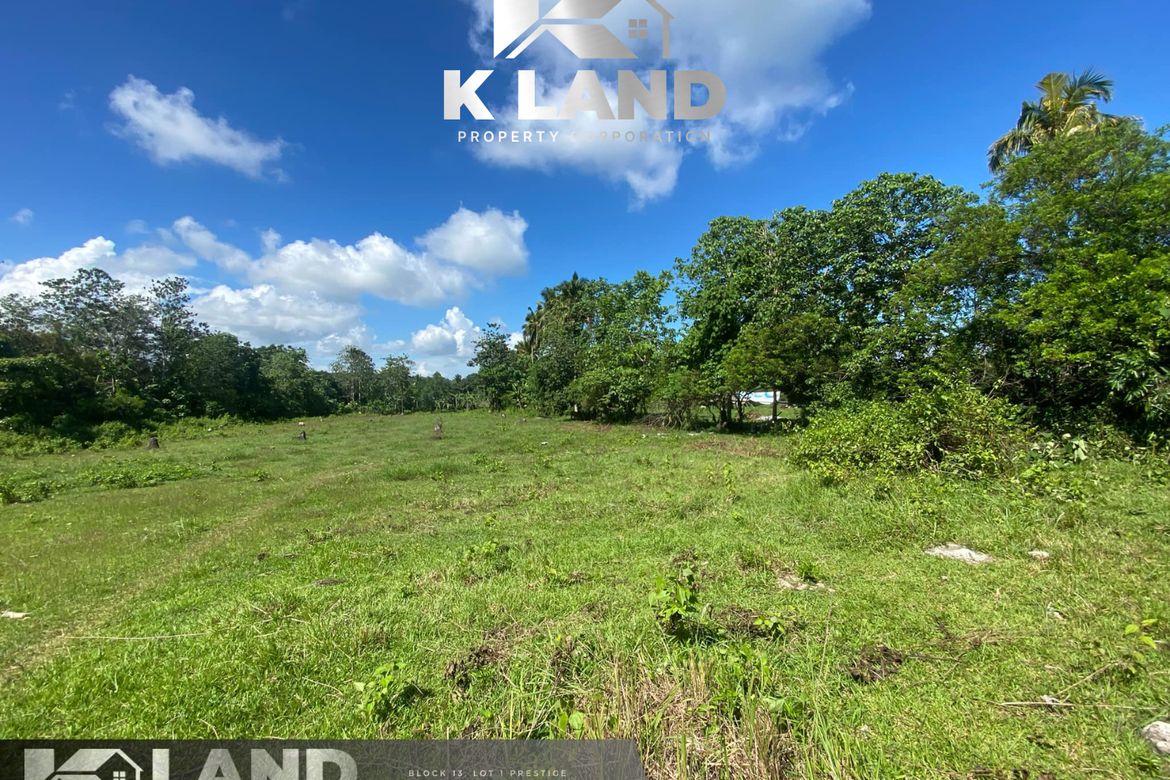 Land for Sale in Camudmud, Samal, Davao del Norte – photo 5