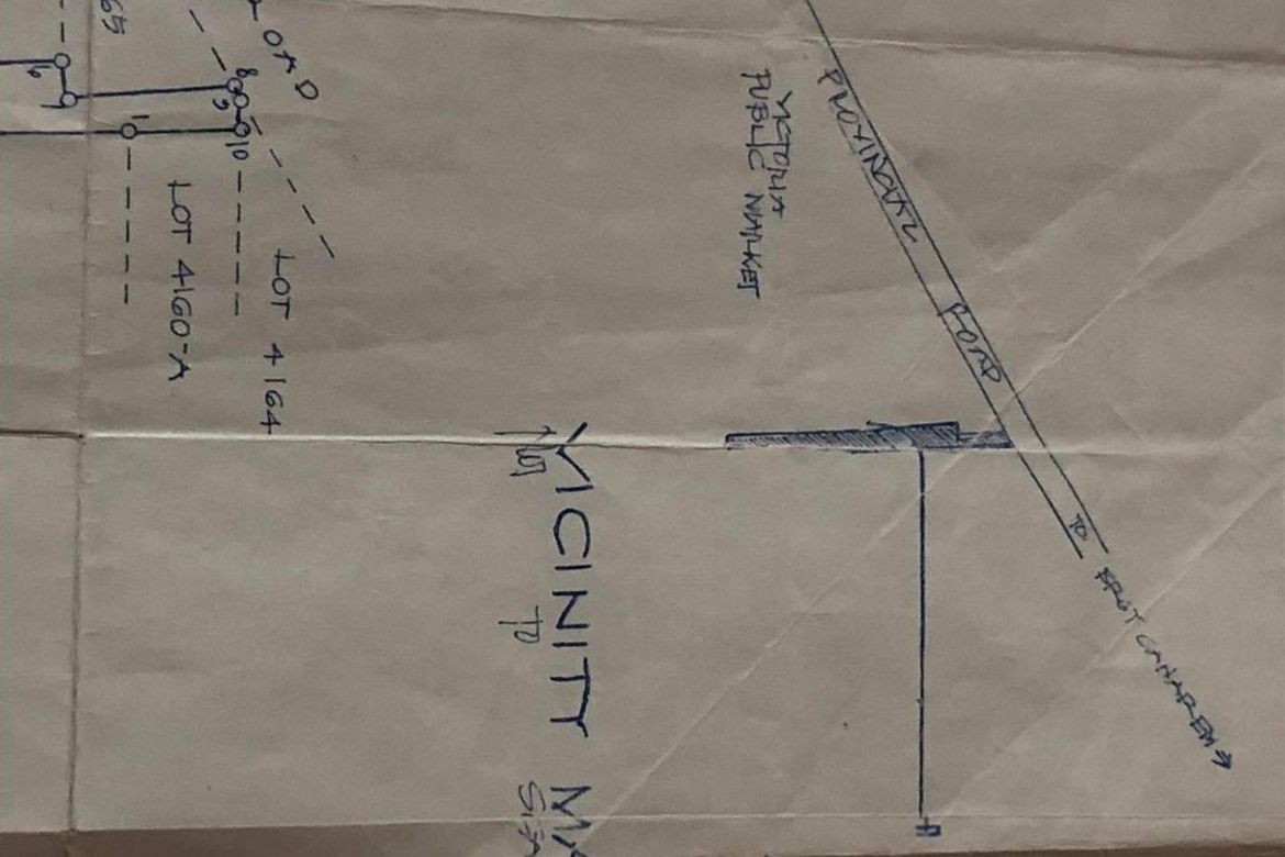 Land for Sale in Canarem, Victoria, Tarlac – photo 2
