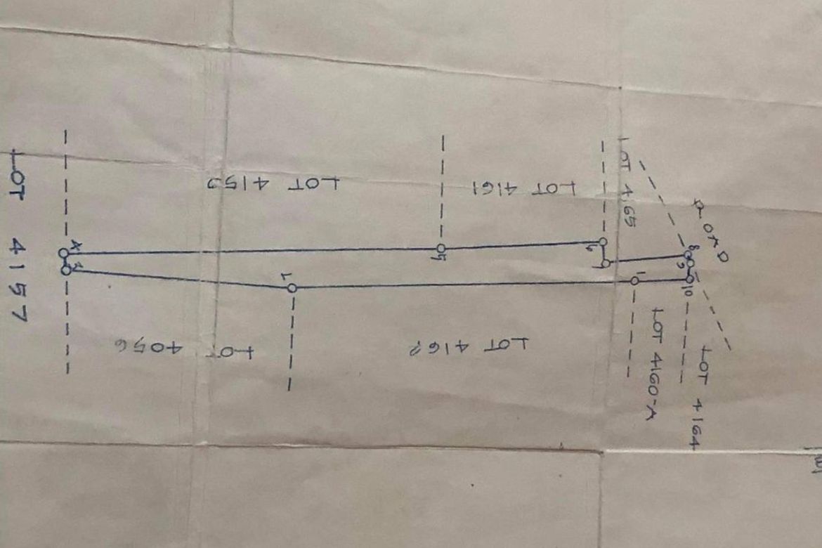 Land for Sale in Canarem, Victoria, Tarlac – photo 3