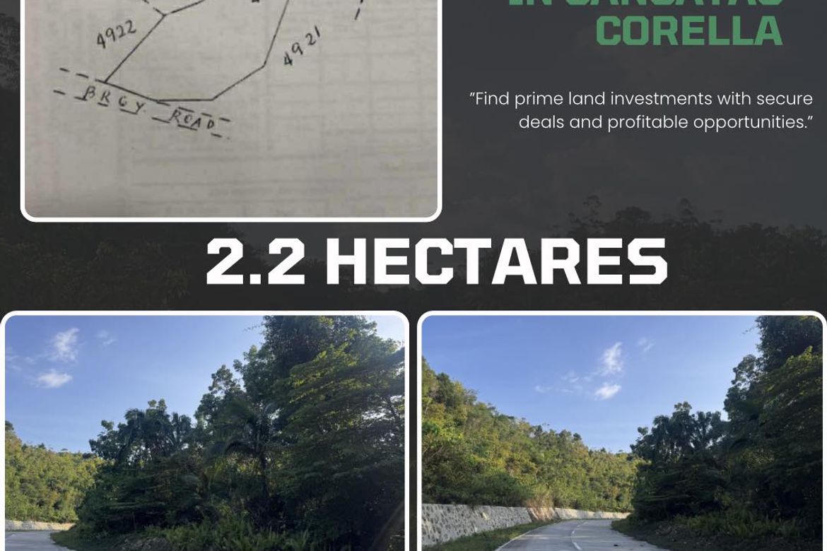 Land for Sale in Cancatac, Corella, Bohol