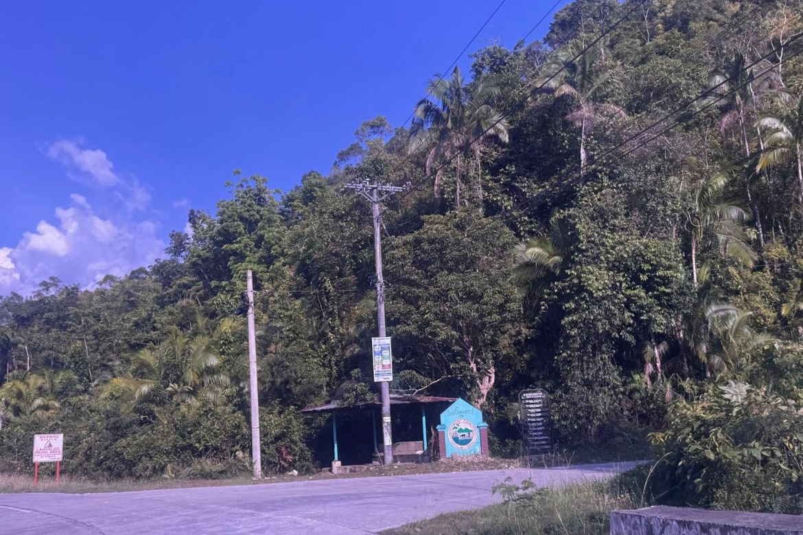 Land for Sale in Cancatac, Corella, Bohol – photo 3