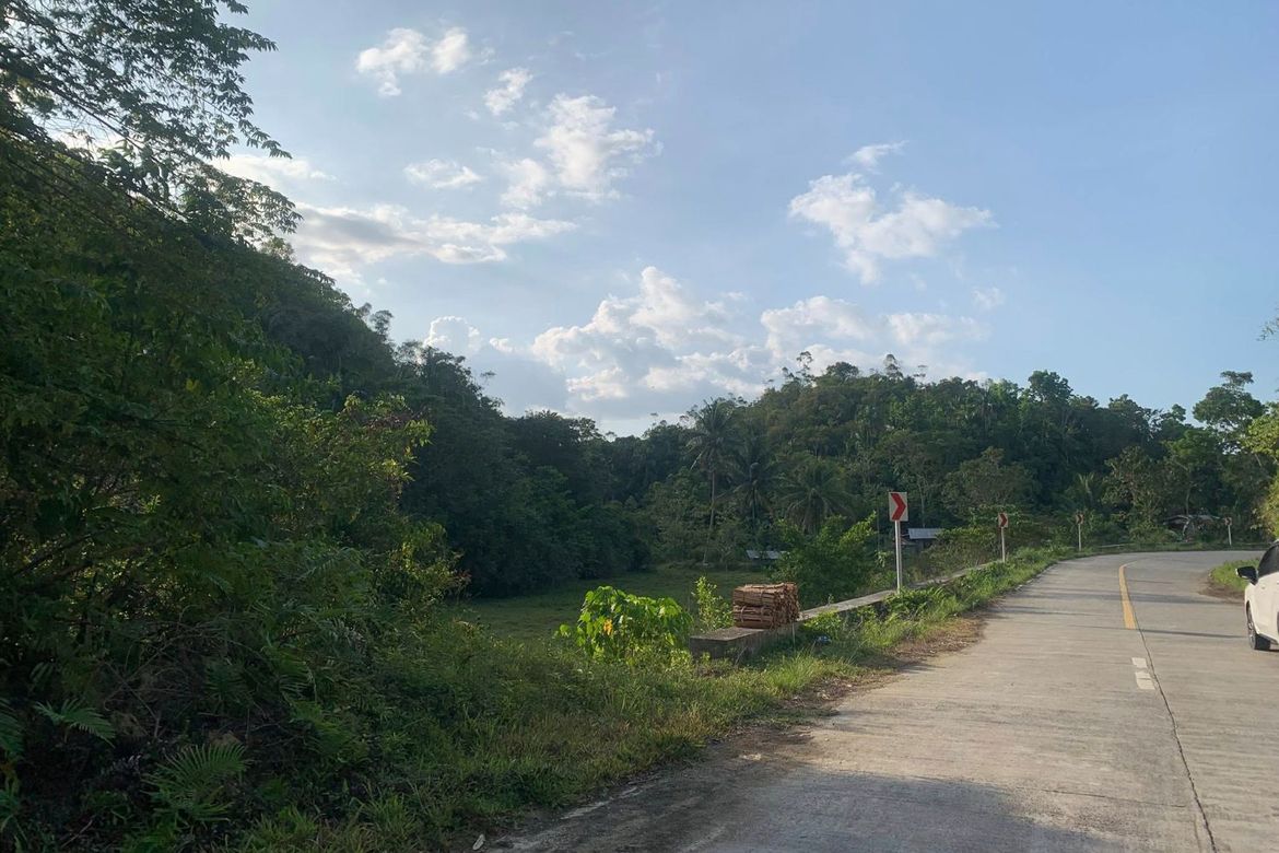 Land for Sale in Cancatac, Corella, Bohol – photo 6