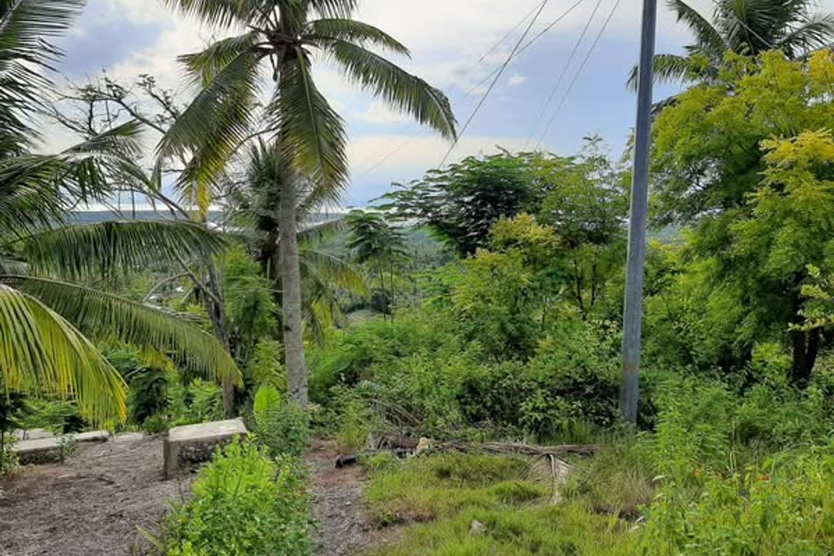 Land for Sale in Candabong, Alcantara, Cebu – photo 2