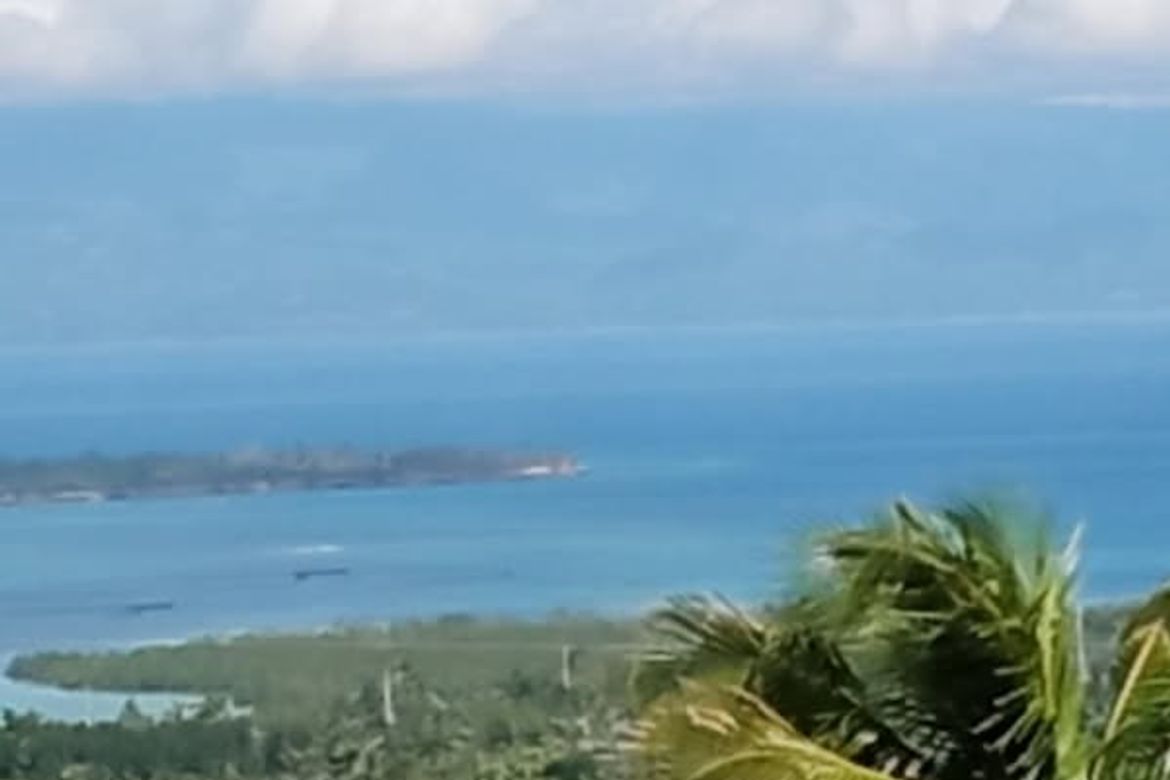 Land for Sale in Candabong, Alcantara, Cebu – photo 4