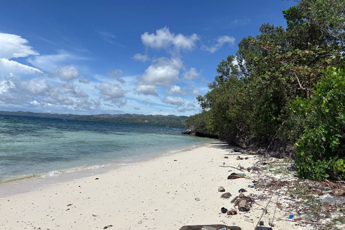 Land for Sale in Candanay Norte, Siquijor, Siquijor