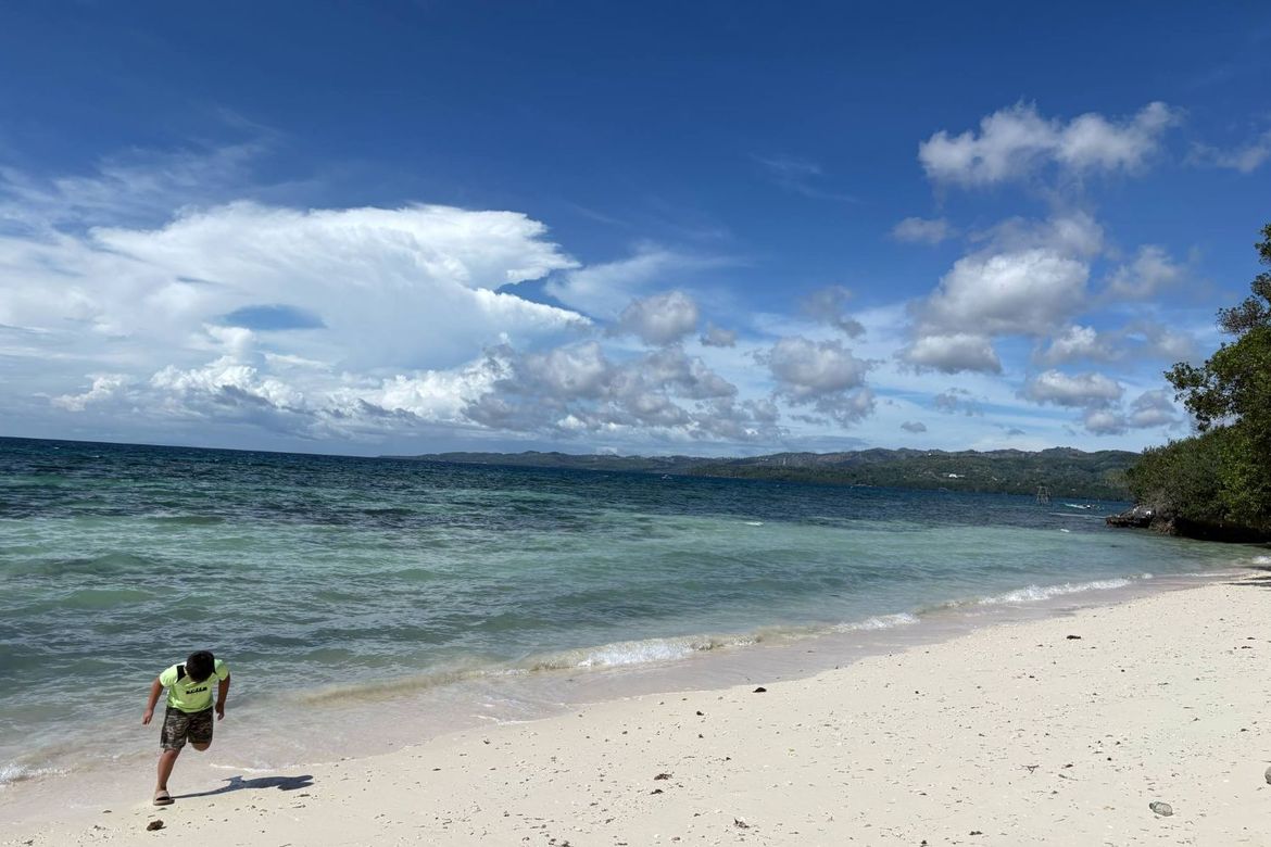 Land for Sale in Candanay Norte, Siquijor, Siquijor – photo 3