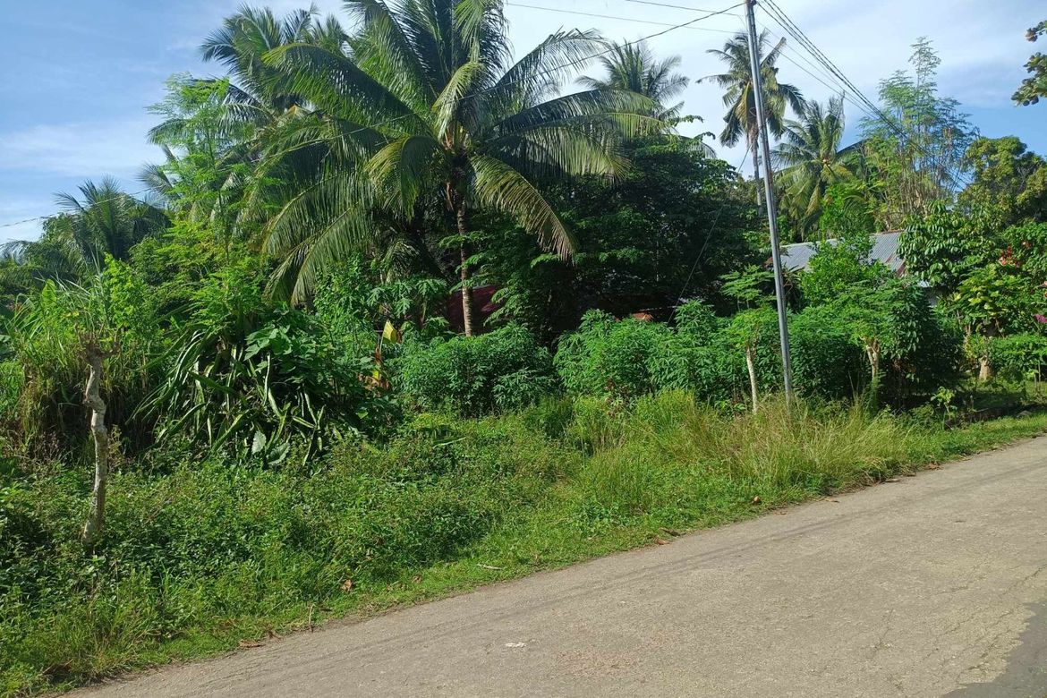 Land for Sale in Candanay Norte, Siquijor, Siquijor