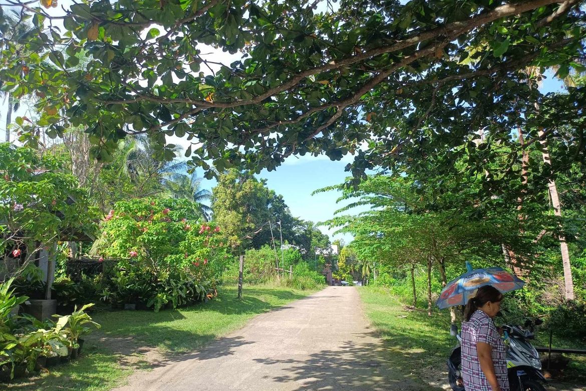 Land for Sale in Candanay Norte, Siquijor, Siquijor – photo 5
