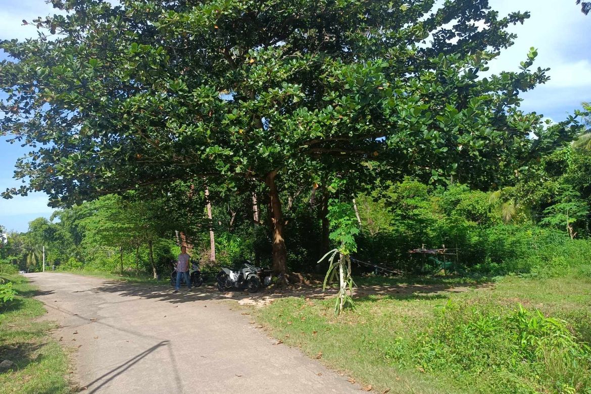 Land for Sale in Candanay Norte, Siquijor, Siquijor – photo 7