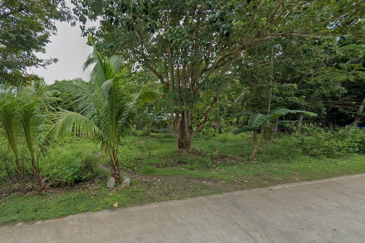 Land for Sale in Candaping A, Maria, Siquijor