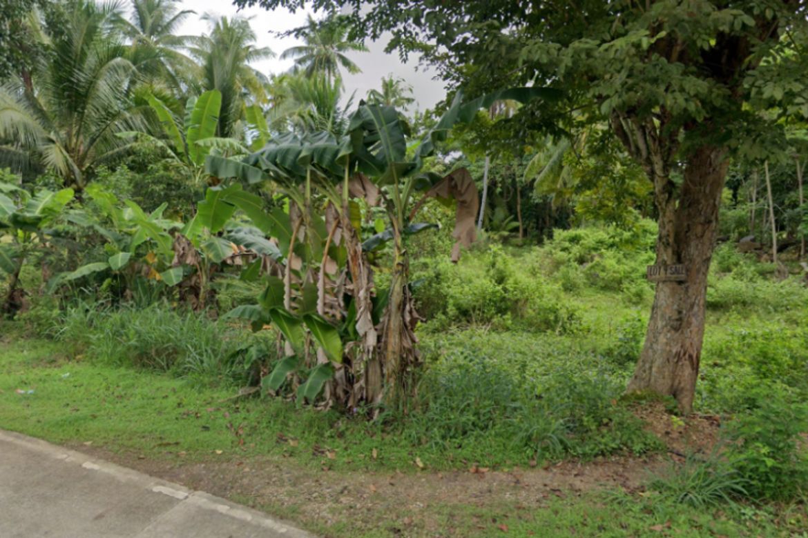 Land for Sale in Candaping A, Maria, Siquijor – photo 3