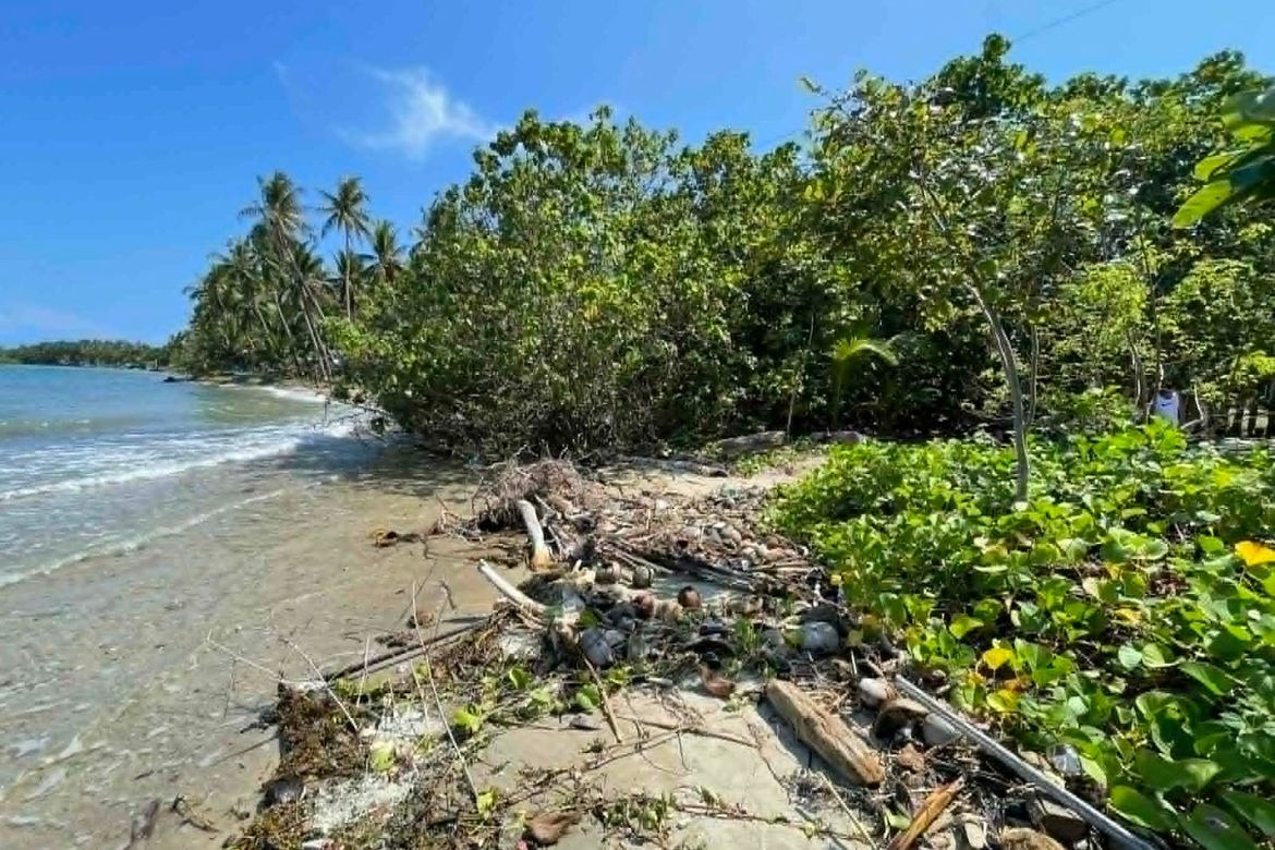 Land for Sale in Candaping A, Maria, Siquijor