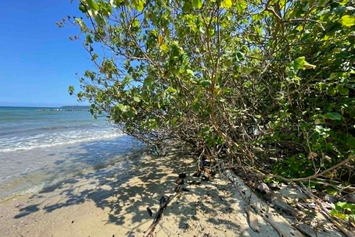 Land for Sale in Candaping A, Maria, Siquijor – photo 3