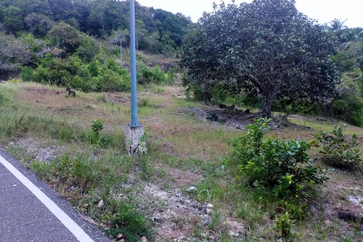 Land for Sale in Candaping B, Maria, Siquijor – photo 4