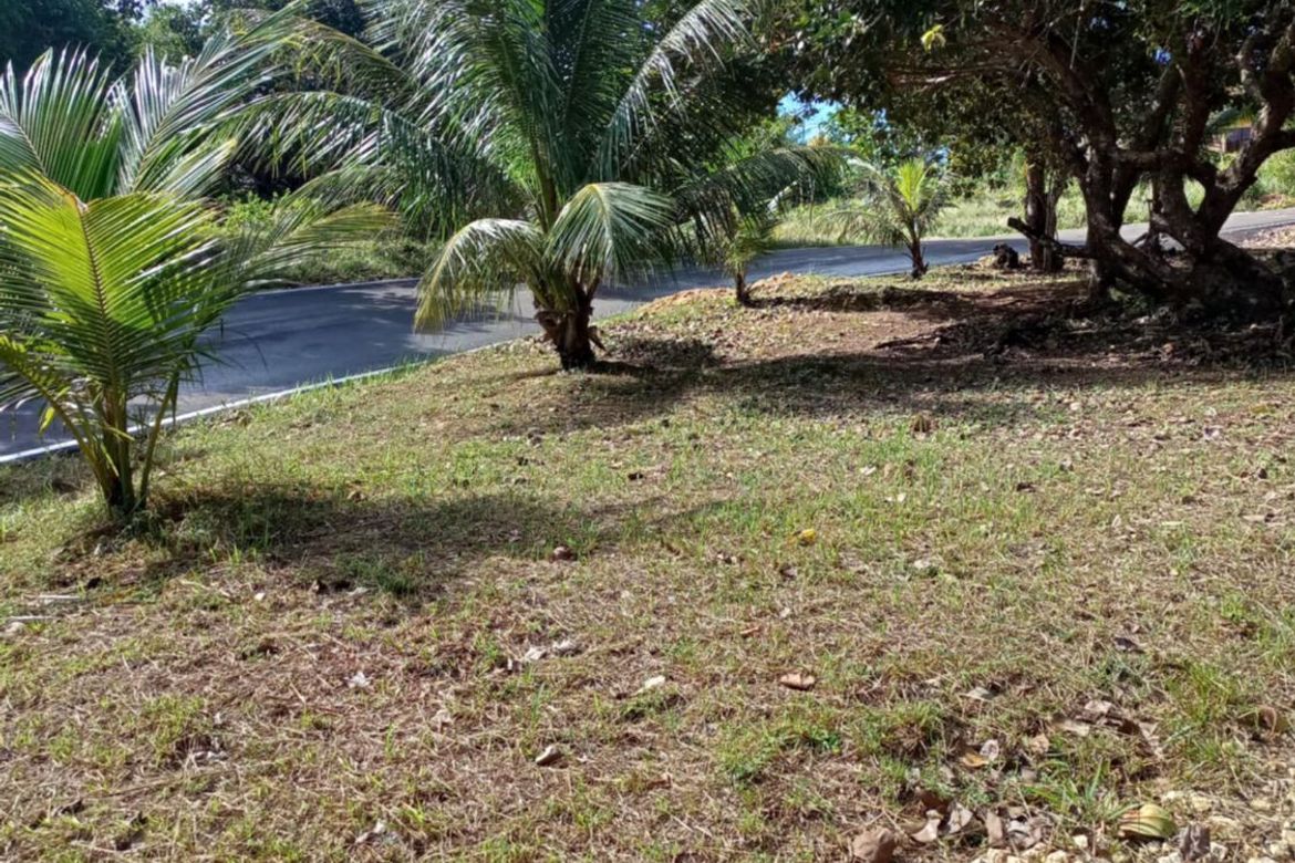 Land for Sale in Candaping B, Maria, Siquijor – photo 5